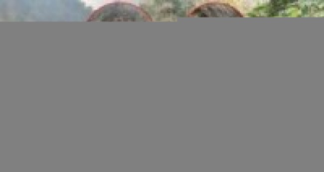 धादिङ- रुबिभ्याली गाउँपालिका-१ मा पहिरो जाँदा स्काभेटरभित्र रहेका तीन जना पुरिएर बेपत्ता